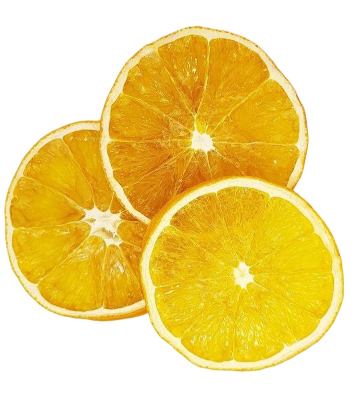 Dried Orange Slice