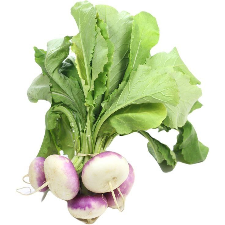 Turnip