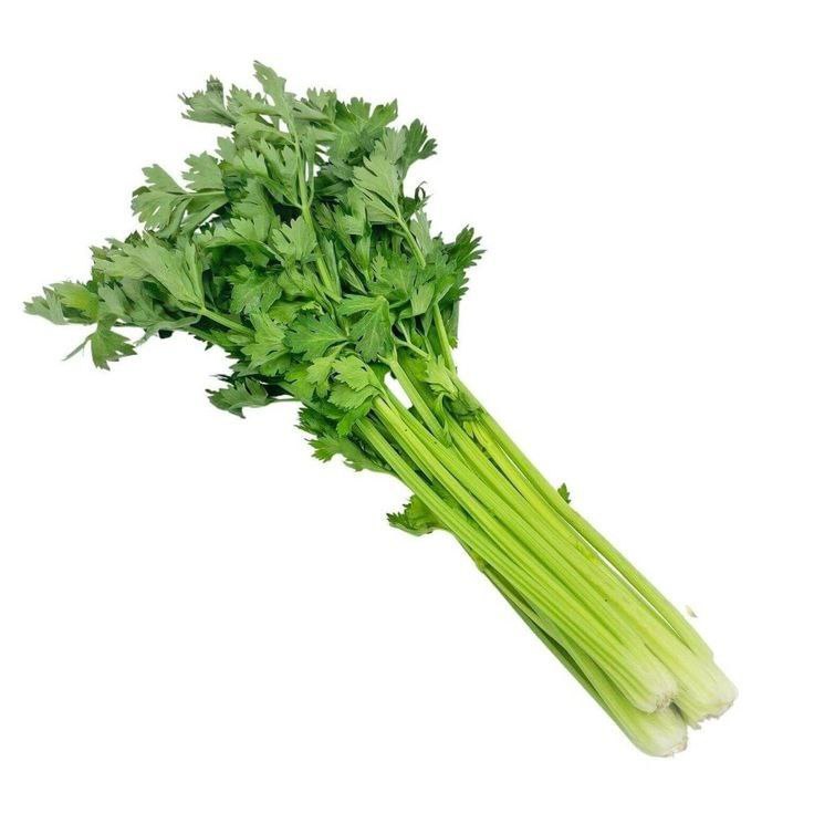 Celery