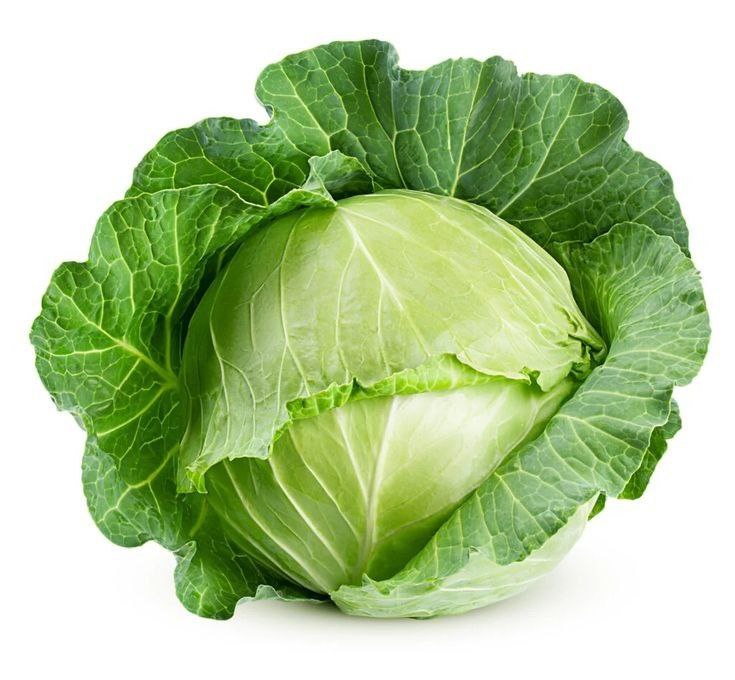 White Cabbage