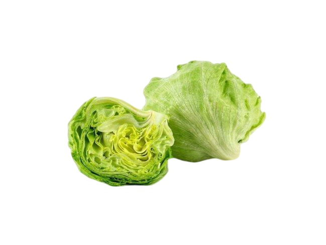 Iceberg Lettuce