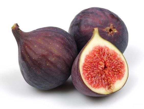 Fig